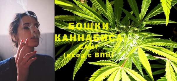 прущий лед Касимов