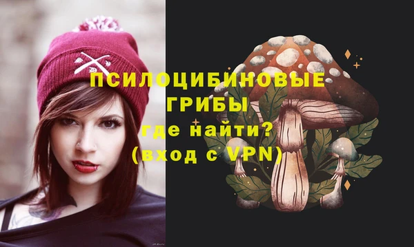винт Карпинск