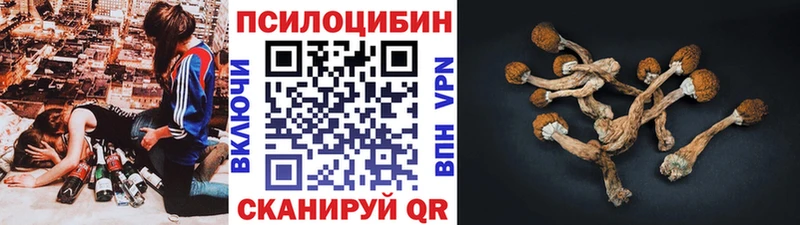 Галлюциногенные грибы мицелий  Купить  Боровск 